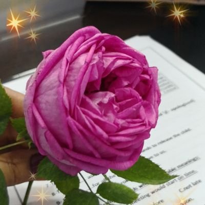 asma_noorhams's profile picture. سبحان الله وبحمده سبحان الله العظيم