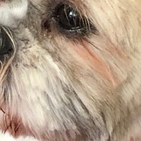 Rocky Black (@motionpicture) Twitter profile photo