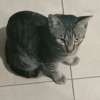 yoojminjeong's profile picture. love pretty girl