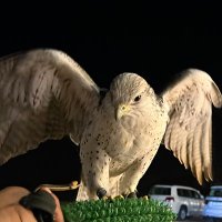 عمير (@myr87852641) Twitter profile photo