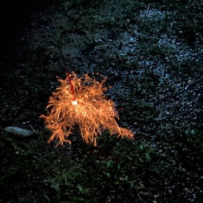 tSAFY648UEtaC8X's profile picture. 