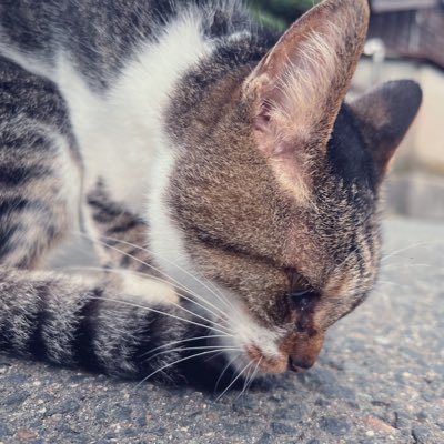 漉々さんのプロフィール画像
