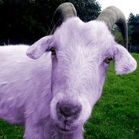 Oxicaprid (@ox_fem) 's Twitter Profile Photo Oxicaprid (@ox_fem) 's Twitter Profile Photo