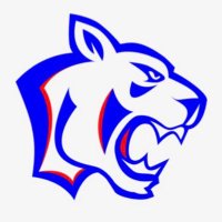 LionessHoops (@lclionesshoops) 's Twitter Profile