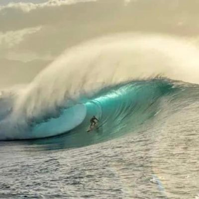 Hyptocrypto3's profile picture. go the monkeys