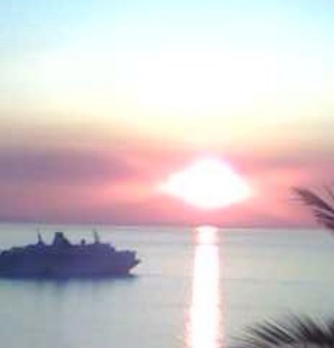 GCarotta's profile picture. 