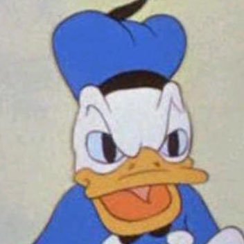 🍒🍇🍑🍌🥑🤪 Simp for egirls, pornstars, clown girls, gooners, streamers and Tiktok thots 😍🥵😮💨 Bi, Nonbinary, Mid 20s 🔞 18+ MDNI #fabricsexual