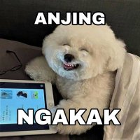 ngakaks (@gulakopikecap) 's Twitter Profile