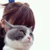 佐藤ブン (@sato_bunn) Twitter profile photo 佐藤ブン (@sato_bunn) Twitter profile photo