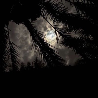 503_asthter's profile picture. افعل ما تُريد ، ولكن تذكّر وجود الله