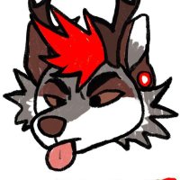 Sheriff ➡️ GOTF, LVFC (@sheriffraccoon) 's Twitter Profile