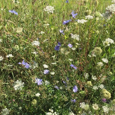 KSDuncan1's profile picture. CPM