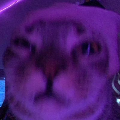 pbdoyoumissher's profile picture. 