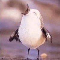 Kim Heywood (@kimheywood3) 's Twitter Profile Photo Kim Heywood (@kimheywood3) 's Twitter Profile Photo