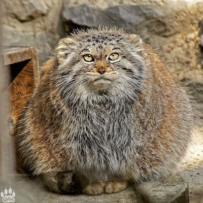 William45029741's profile picture. Armas, tecnologia militar, supervivencia, historia belica...