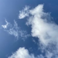 A. (@_empty_y) 's Twitter Profile