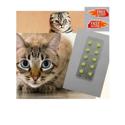 ceomoney12's profile picture. Brotherhood