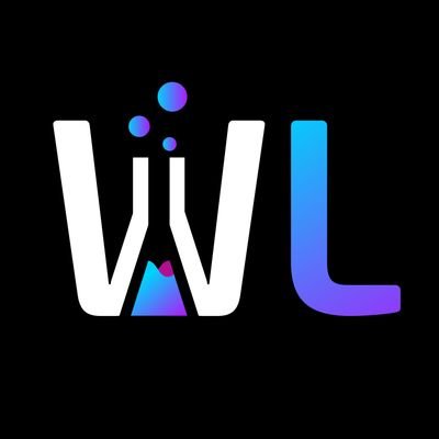 Webcoin Labs (Formerly Webcoin Capital)