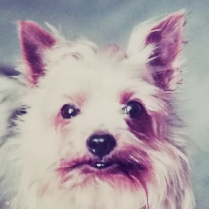 jemda1z's profile picture. 異文化に興味あります。

/大切なもの:自由、健康、平和、Key Workers、etc.

/嫌いなもの:弱い者いじめ、搾取、差別、精神論、digital, etc.

/好きなもの:本、新聞、ラジオ、映画、美術館、etc.