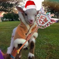 elitxe (@elitxee) 's Twitter Profile Photo elitxe (@elitxee) 's Twitter Profile Photo