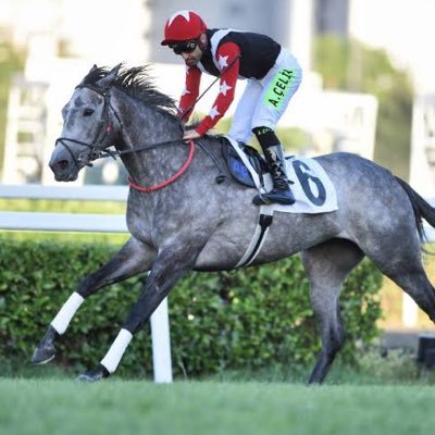 alper_karliga's profile picture. İNSTEGRAM Alperads01