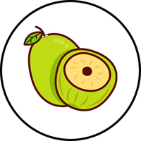 Jujube.Finance | Sui Testnet Live (@jujubefinance) 's Twitter Profile Photo Jujube.Finance | Sui Testnet Live (@jujubefinance) 's Twitter Profile Photo