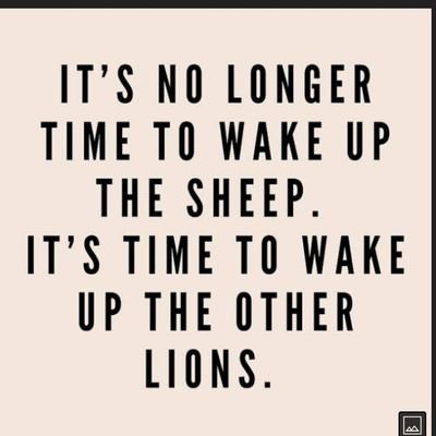 Im just here to help 🙏💯💪🧡Glass blowing ,Brick laying , organic medicine growing ,truth spitting 🇺🇸 Patriot 🇺🇸  👑  CHRIST IS KING 👑 Love above ALL🙏