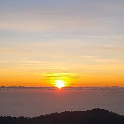 Michelle_Liu67's profile picture. 