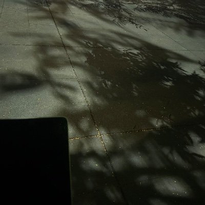 zihui_zi's profile picture. 