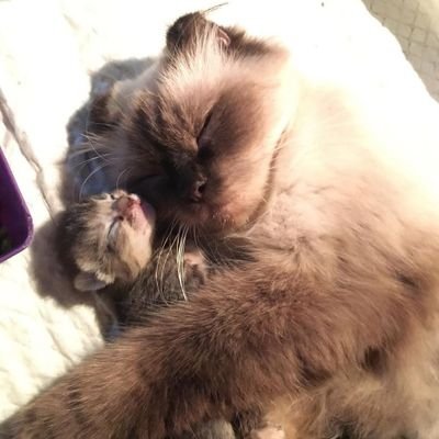 Jolieppop19's profile picture. “Imposible es sólo una opinión”