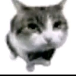 Shuttlebus11's profile picture. 