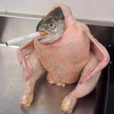 sinnybro's profile picture. 