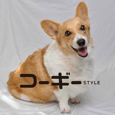 辰巳出版『コーギースタイル』公式のアカウントです。 コーギー情報をたくさんUP予定♪ よろしくお願いしま〜す!