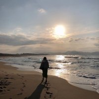 m /🧡🇯🇵政治を日本に広めたい (@1a7ptdwe7lf7sov) 's Twitter Profile