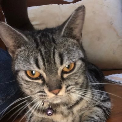 not_wrong69's profile picture. เลื่อยๆ