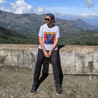 Soubhik Ray (@raypresent_) 's Twitter Profile