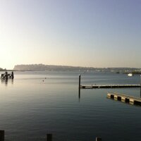 Alun Shurmer (@alunshurmer) 's Twitter Profile