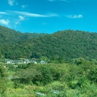 えーとれ@かぼちゃ (@atrain_asakyu) 's Twitter Profile