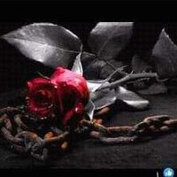 عربجي نسوان كبيره🍑🍆🍆🍑 (@dc4od) Twitter profile photo