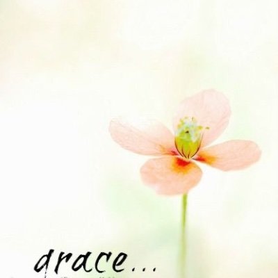 kurumi2227's profile picture. ◇看護師◇コロナワクチンは歴史上最大の薬害◇アドラー心理学◇クリスチャン◇