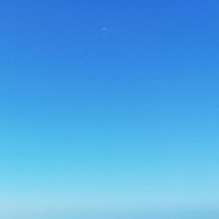 蕗 (@g9skzcevqti1dew) 's Twitter Profile Photo