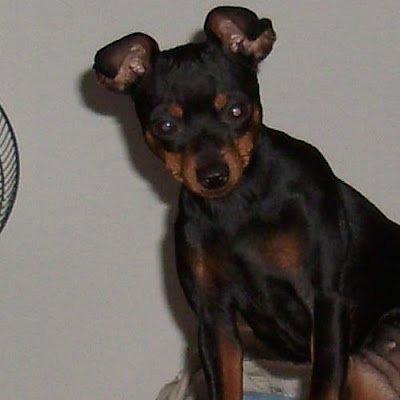 rclnich's profile picture. 