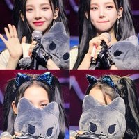 jiehan (@stroight) 's Twitter Profile