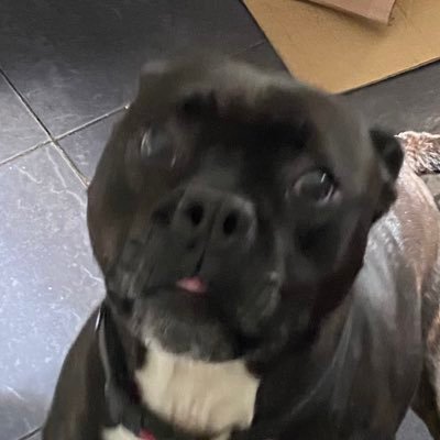 PhoenixHunter04's profile picture. hi