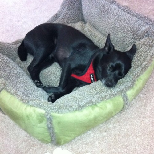 UncleGamGam's profile picture. 