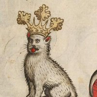 dailymedievalcats(@dailymedievalc1) 's Twitter Profileg