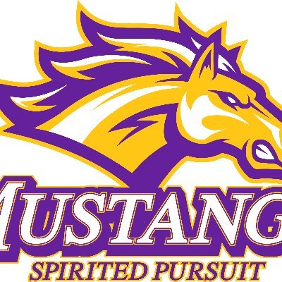 Rolling Meadows HS Profile
