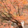 tktennis_tech's profile picture. Tech Academy 初めての副業コース受講済