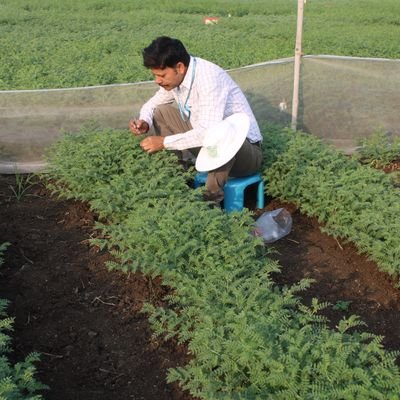 Package for multi-crop breeding, work experience in vegetables (Gourds,Bhendi, Chilli),Cereals (Rice), Commercial crop (Cotton) and Pulses (Chickpea and P.pea).