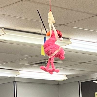 laylatv17's profile picture. a teenage boys worst nightmare